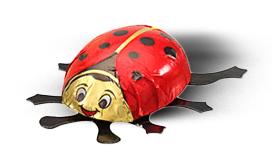 Marienkäferchen Schokolade 