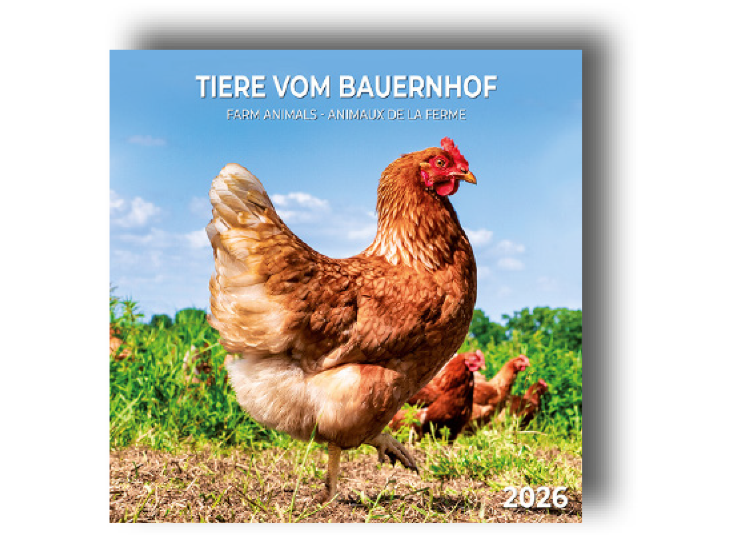 Kalender "Tiere vom Bauernhof"