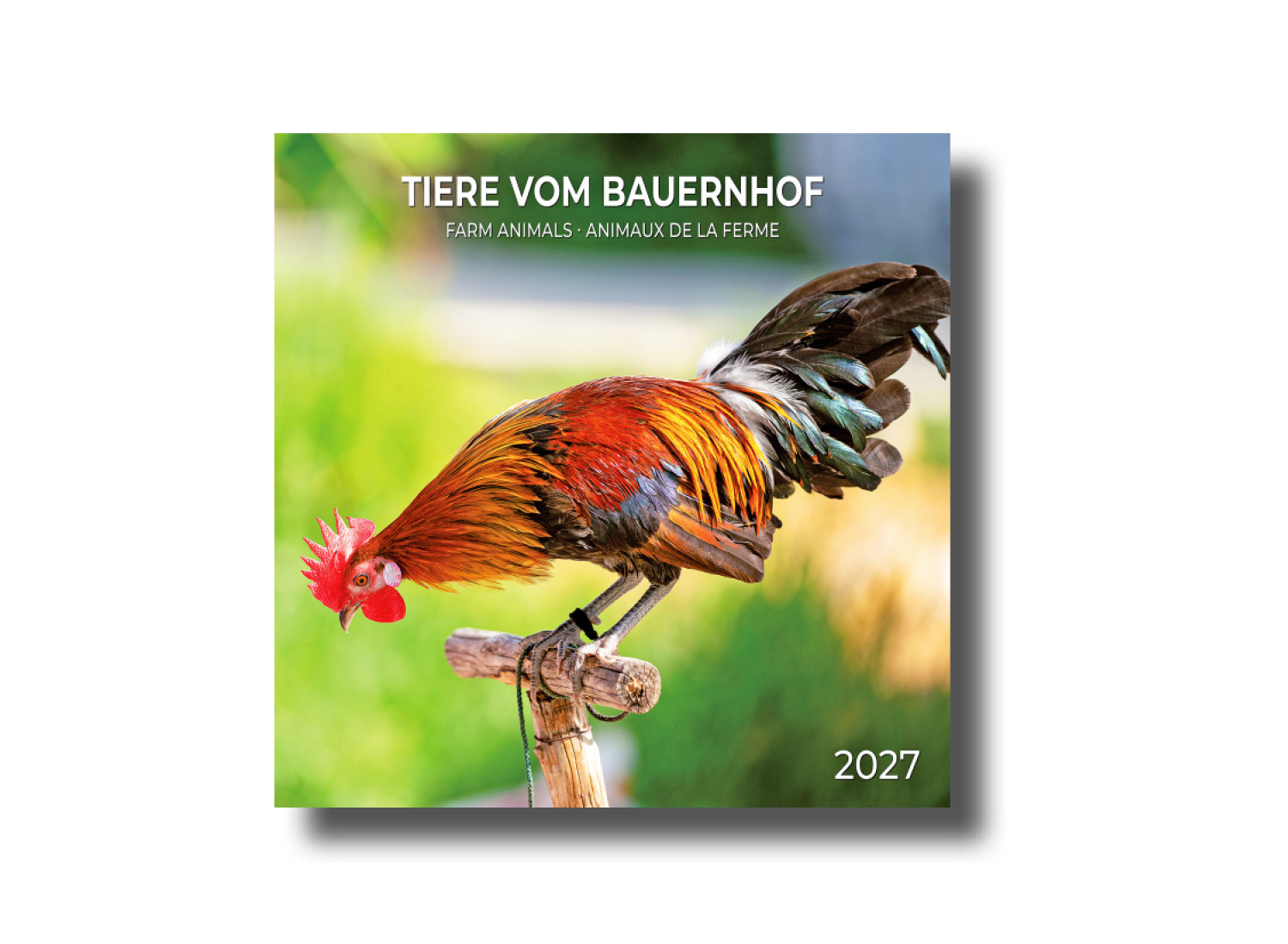 Kalender "Tiere vom Bauernhof"